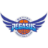 大邱飞马logo
