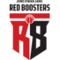 安养正官庄logo