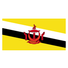 文莱logo
