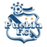 普埃布拉logo
