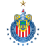 瓜达拉哈拉女足logo