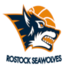罗斯托克海狼logo