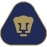美洲狮logo