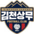 金泉尚武logo