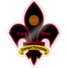 金泽logo