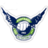鸟取飞翔logo